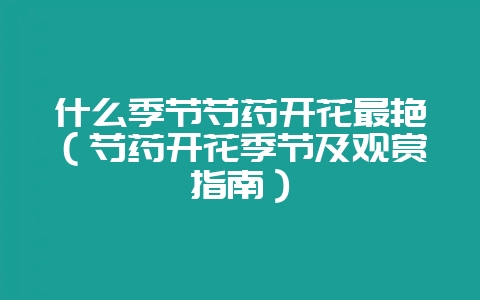 什么季节芍药开花最艳(芍药开花季节及观赏指南)-会东网