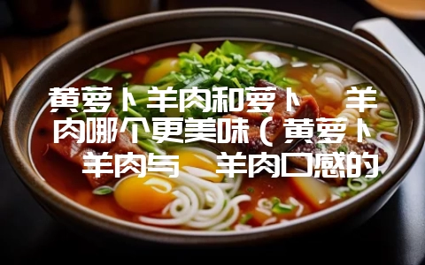 黄萝卜羊肉和萝卜煲羊肉哪个更美味(黄萝卜炖羊肉与煲羊肉口感的-会东网