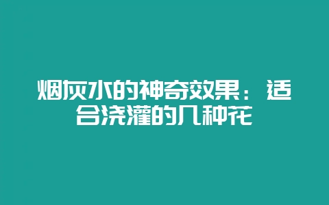 烟灰水的神奇效果：适合浇灌的几种花卉-会东网