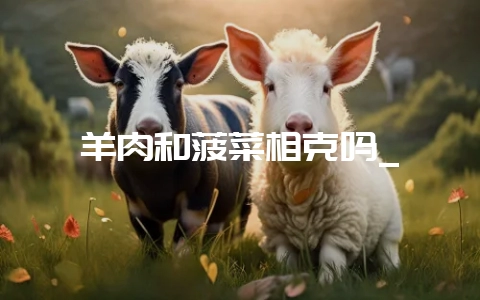 羊肉和菠菜相克吗_插图 羊肉和菠菜相克吗_插图
