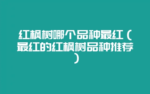 红枫树哪个品种最红(最红的红枫树品种推荐)-会东网