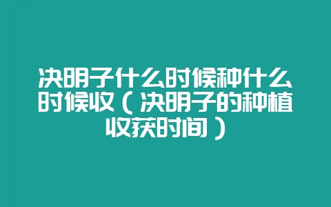 决明子什么时候种什么时候收（决明子的种植收获时间）-会东网