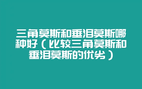 三角莫斯和垂泪莫斯哪种好(比较三角莫斯和垂泪莫斯的优劣)-会东网