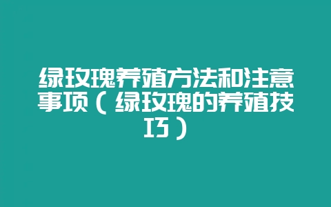 绿玫瑰养殖方法和注意事项(绿玫瑰的养殖技巧)-会东网