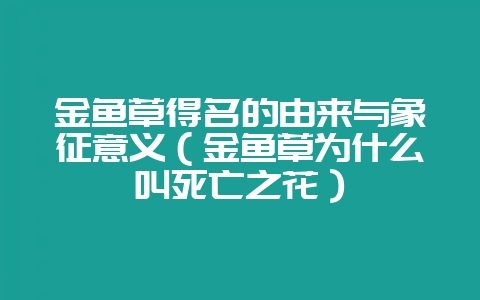 金鱼草得名的由来与象征意义（金鱼草为什么叫死亡之花）-会东网