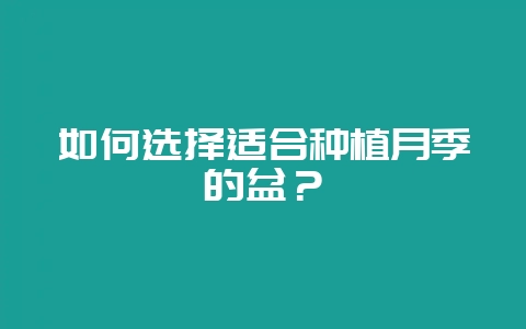 如何选择适合种植月季的盆？-会东网