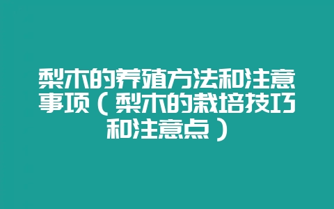 梨木的养殖方法和注意事项（梨木的栽培技巧和注意点）-会东网