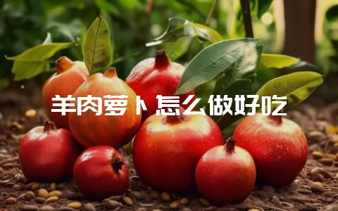 羊肉萝卜怎么做好吃-会东网