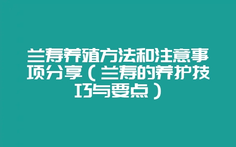 兰寿养殖方法和注意事项分享(兰寿的养护技巧与要点)-会东网