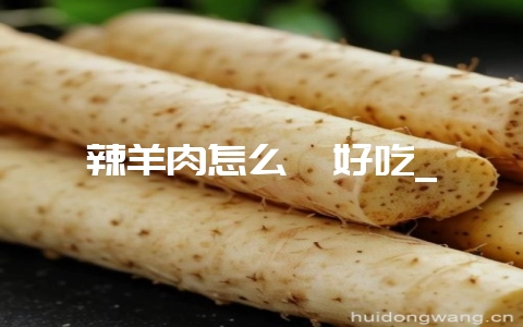 辣羊肉怎么炖好吃_-会东网