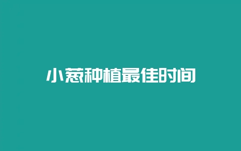 小葱种植最佳时间-会东网