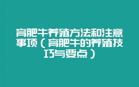 育肥牛养殖方法和注意事项(育肥牛的养殖技巧与要点)-会东网