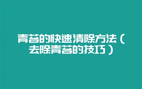 青苔的快速清除方法（去除青苔的技巧）-会东网
