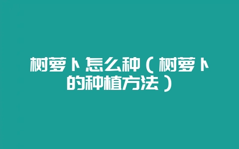 树萝卜怎么种（树萝卜的种植方法）-会东网