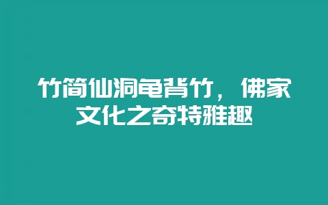 竹简仙洞龟背竹，佛家文化之奇特雅趣-会东网