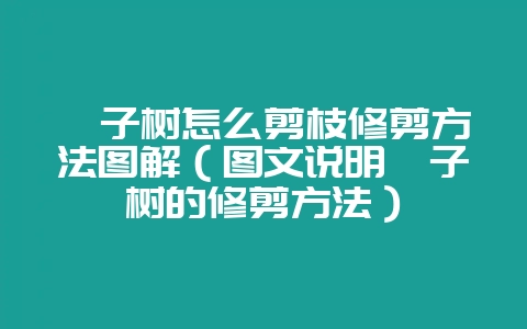 桔子树怎么剪枝修剪方法图解(图文说明桔子树的修剪方法)-会东网