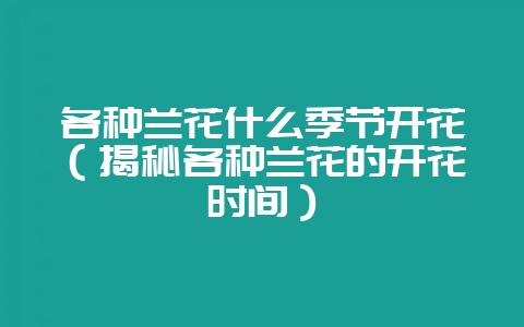 各种兰花什么季节开花(揭秘各种兰花的开花时间)-会东网