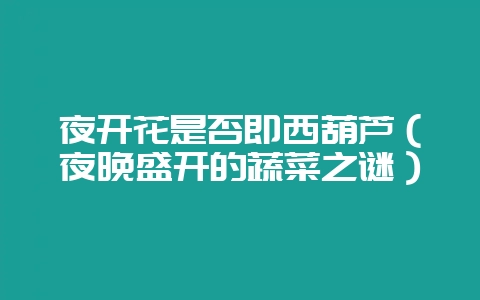 夜开花是否即西葫芦（夜晚盛开的蔬菜之谜）-会东网
