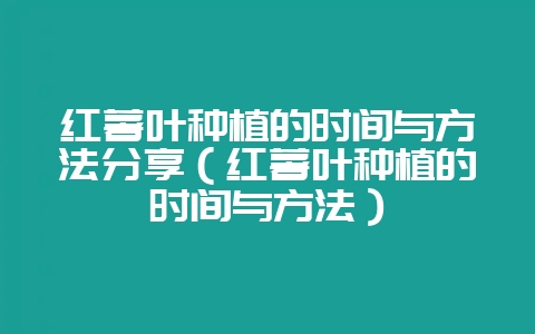 红薯叶种植的时间与方法分享（红薯叶种植的时间与方法）-会东网