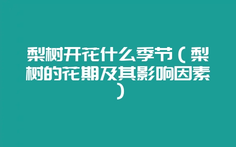梨树开花什么季节(梨树的花期及其影响因素)-会东网