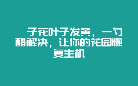 栀子花叶子发黄，一勺醋解决，让你的花园恢复生机-会东网