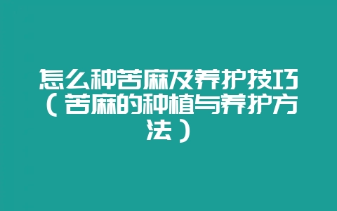 怎么种苦麻及养护技巧（苦麻的种植与养护方法）-会东网