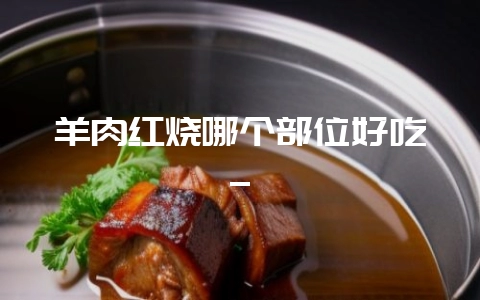 羊肉红烧哪个部位好吃_-会东网