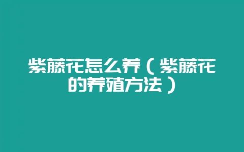 紫藤花怎么养（紫藤花的养殖方法）-会东网