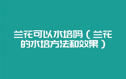 兰花可以水培吗（兰花的水培方法和效果）-会东网