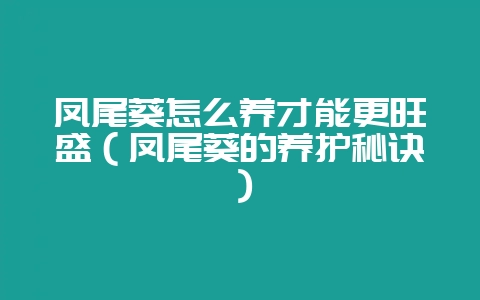 凤尾葵怎么养才能更旺盛（凤尾葵的养护秘诀）-会东网