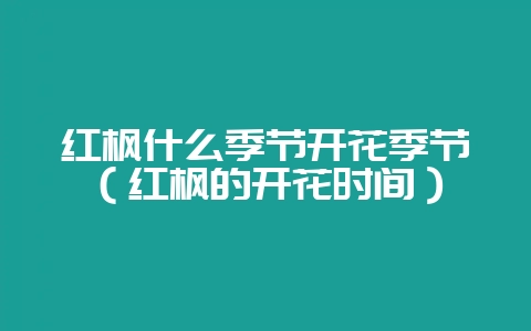 红枫什么季节开花季节（红枫的开花时间）-会东网