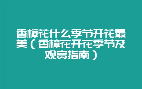 香樟花什么季节开花最美(香樟花开花季节及观赏指南)-会东网