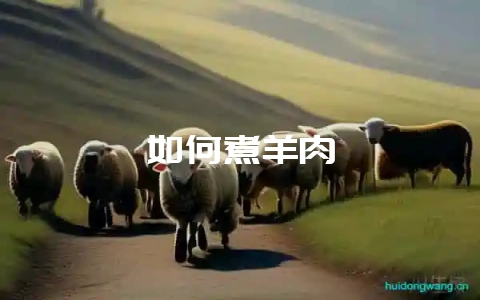 如何煮羊肉-会东网
