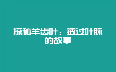 探秘羊齿叶：透过叶脉的故事-会东网