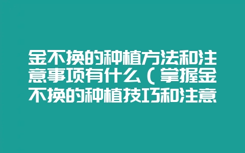 金不换的种植方法和注意事项有什么（掌握金不换的种植技巧和注意-会东网
