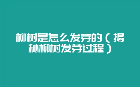 柳树是怎么发芽的（揭秘柳树发芽过程）-会东网