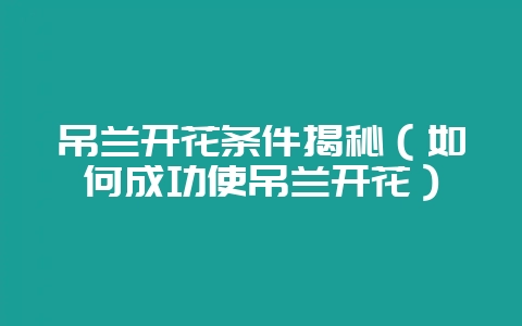 吊兰开花条件揭秘(如何成功使吊兰开花)-会东网