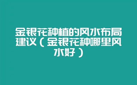 金银花种植的风水布局建议（金银花种哪里风水好）-会东网