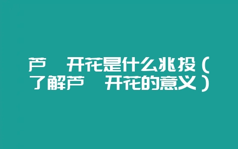 芦荟开花是什么兆头(了解芦荟开花的意义)-会东网
