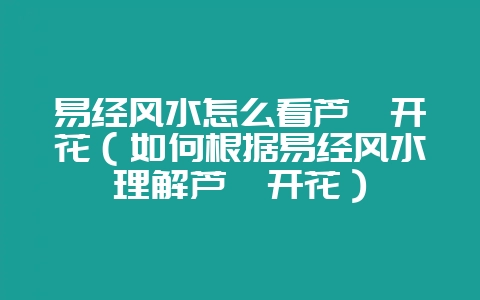 易经风水怎么看芦荟开花（如何根据易经风水理解芦荟开花）-会东网