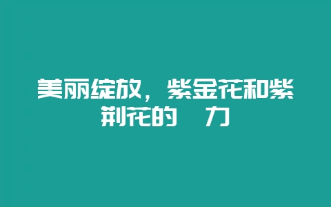 美丽绽放,紫金花和紫荆花的魅力-会东网