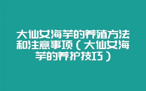 大仙女海芋的养殖方法和注意事项(大仙女海芋的养护技巧)-会东网