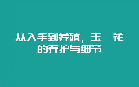 从入手到养殖，玉簪花的养护与细节-会东网