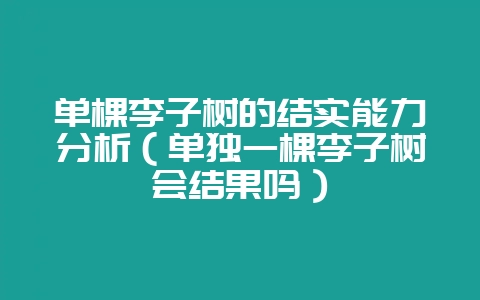 单棵李子树的结实能力分析(单独一棵李子树会结果吗)插图 单棵李子树的结实能力分析(单独一棵李子树会结果吗)插图