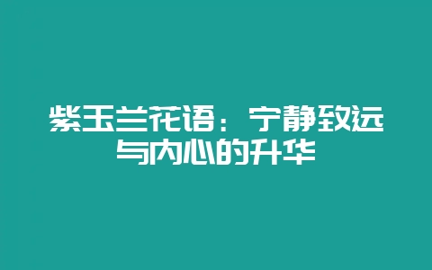 紫玉兰花语：宁静致远与内心的升华-会东网
