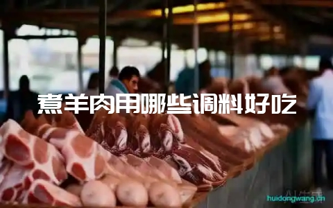 煮羊肉用哪些调料好吃-会东网
