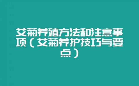 艾菊养殖方法和注意事项（艾菊养护技巧与要点）-会东网