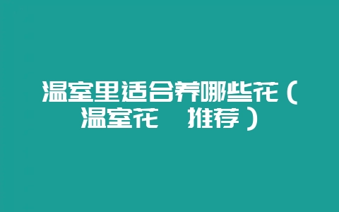 温室里适合养哪些花（温室花卉推荐）-会东网