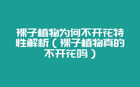 裸子植物为何不开花特性解析(裸子植物真的不开花吗)插图 裸子植物为何不开花特性解析(裸子植物真的不开花吗)插图