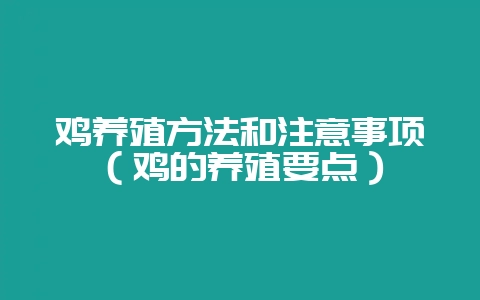鸡养殖方法和注意事项(鸡的养殖要点)-会东网